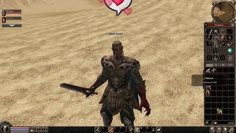 The First Yin Yang Armour +8 on Metin2 Global EU Server by Fly2Sky