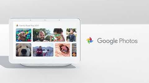Google Nest Hub | Help at a glance