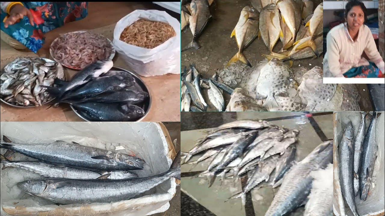 Ghazipur Fish mandi Delhi .Delhi NCR wholesale fish market.Ghazipur