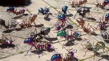 Chen Zhiguang - OpenART 2015