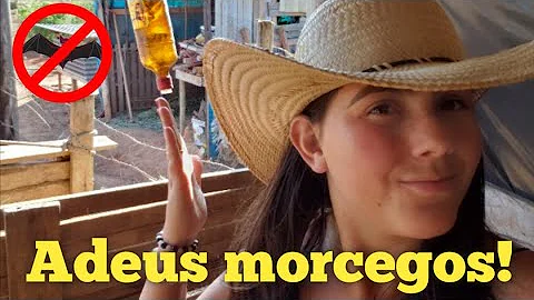 Porque a garrafa de vidro espantá morcego?