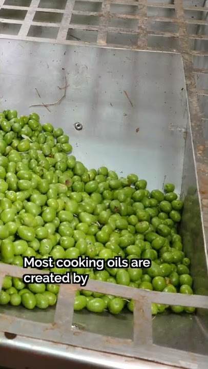 😳 Are You Using the Right Cooking Oil? (  How to Find the Right One!) #Shorts