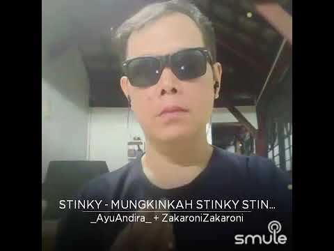 Mungkinkah Stinky Zakaroni Ft Ayuandira Youtube