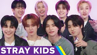 メンバーに例えると誰？Stray Kidsに性格診断を受けてもらった（日本語字幕） Stray Kids Finds Out Which SKZ Members They Actually Are