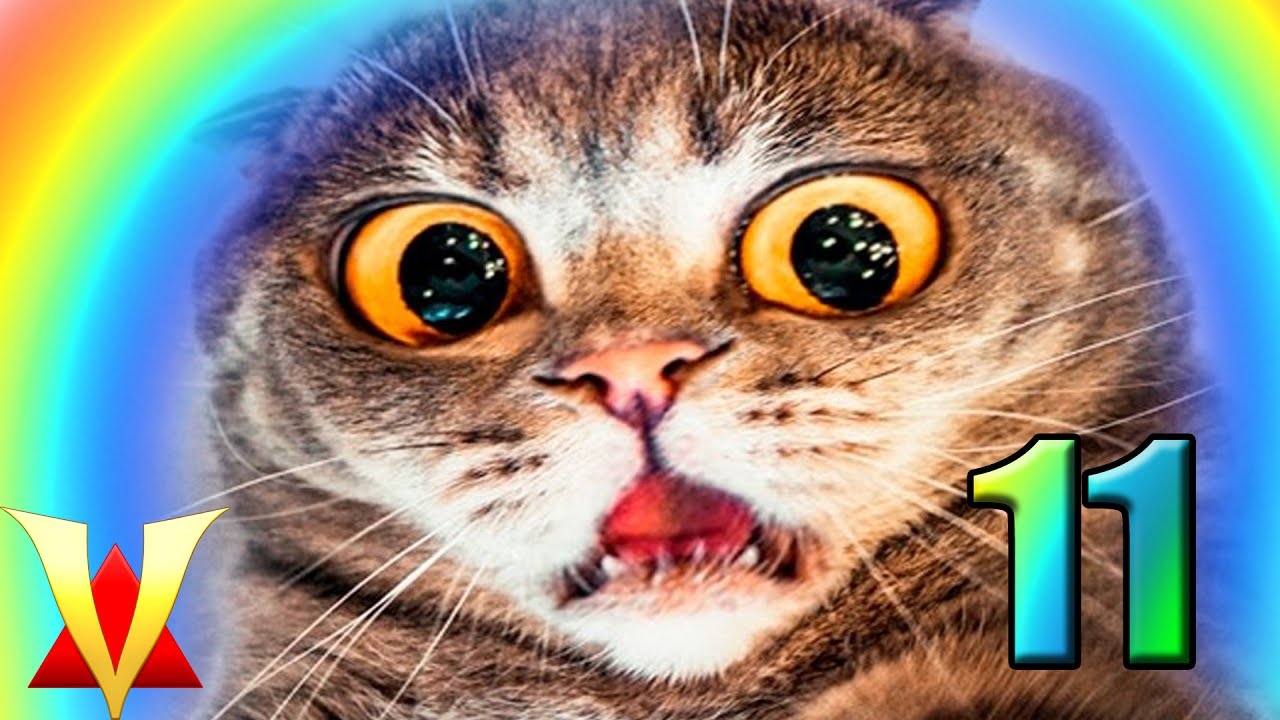 Gmod CRAZY FUN DUPES 11! (Garry's Mod)