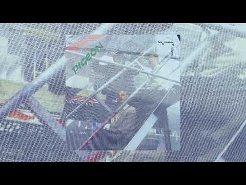 Pigeon - Deny All Knowledge Of Complicity 2