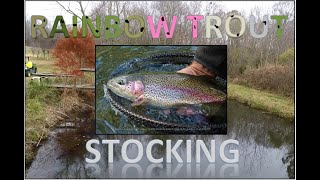 STOCKING RAINBOW TROUT into a NC Pond | No pond too small !