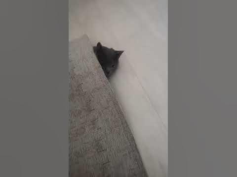 Тамриэль - YouTube