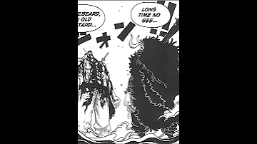 IF SHANKS DIDN"T STOP KAIDO.
