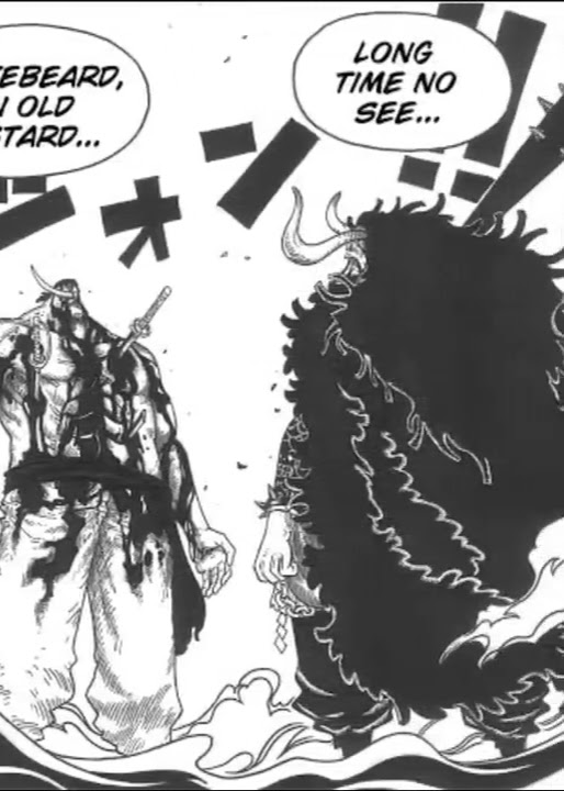 IF SHANKS DIDN'T STOP KAIDO.