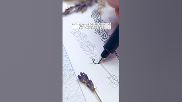 Day 348 drawing flowers for a year, today is some lavender. Only 17 more days to go ✨🥰
