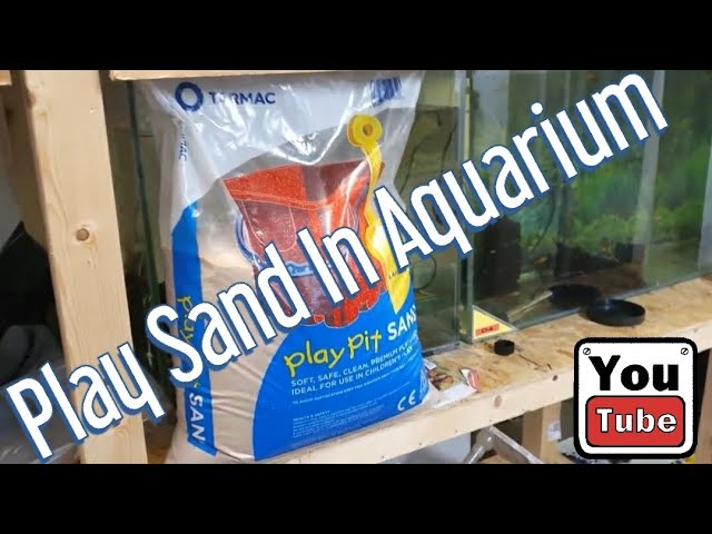 Kids play sand in an aquarium?!? 