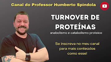 Quando as proteínas são degradadas?