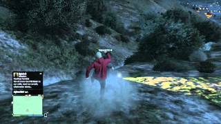 GTA V Online: Random Moment