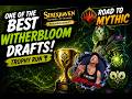 The PERFECT Witherbloom Draft? 🏆 | MTG Arena Strixhaven Premier Draft | Road to Mythic
