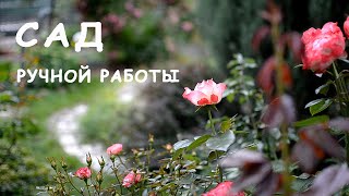 Тайный сад в Петербурге