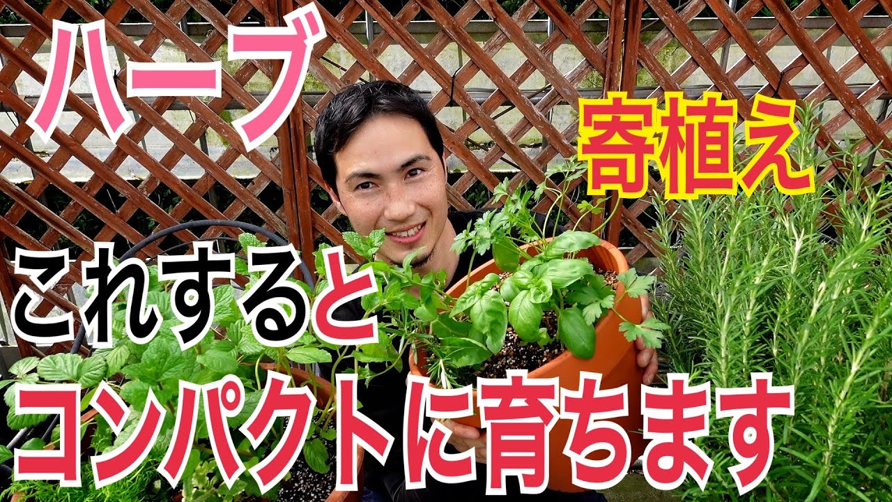 Must-see for beginners] You can easily create stylish flower