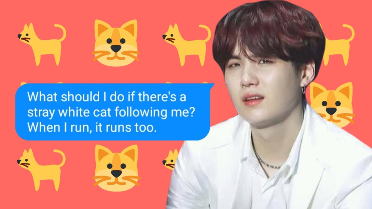 bts texts - yoongi and the stray cat