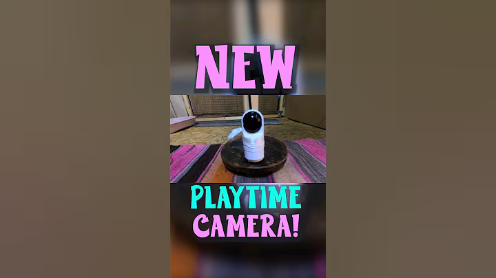 Check Out The New Tech I Installed For Ferret Playtime! #ferrets #shorts