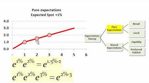Expectation Theories of Yield Term Structures