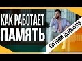 Как работает память