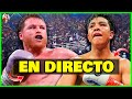   canelo y munguia nos regalaron una pelea llena de emociones merece revancha 