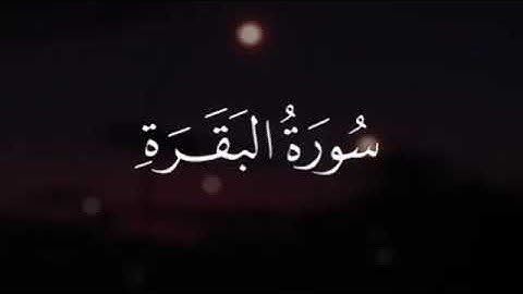 اجمل حالات واتس آب قرآن كريم بصوت جميل جداً _ القارئ: مؤيد المزين