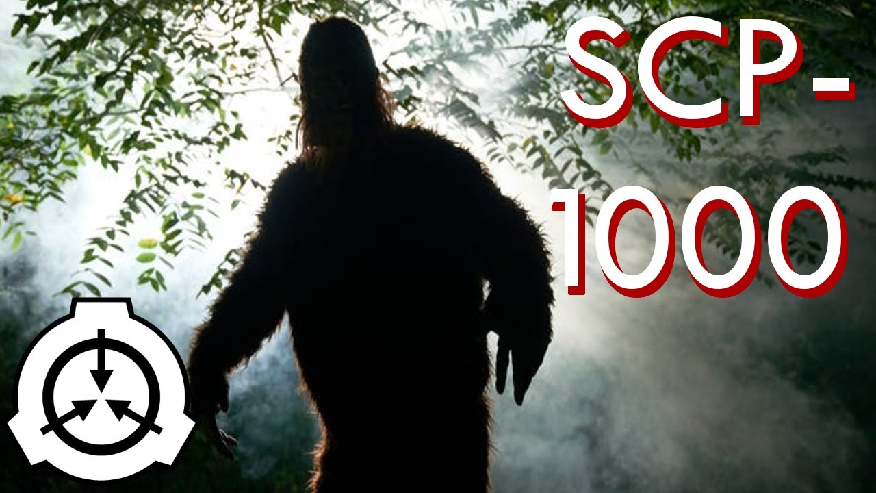 SCP-1000 - Bigfoot (SCP Animation), SCP Explained brings you SCP  Foundation KETER class object, SCP-1000 Animation. SCP-1000 is a nocturnal,  omnivorous ape. Adults range in size from 1.5, By The Infographics Show