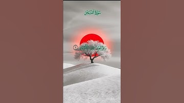 سورة الفجر بصوت احمد العجمى