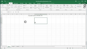 How to Type Copyright Symbol in Excel (Insert Copyright Symbols Using Keyboard Shortcuts)