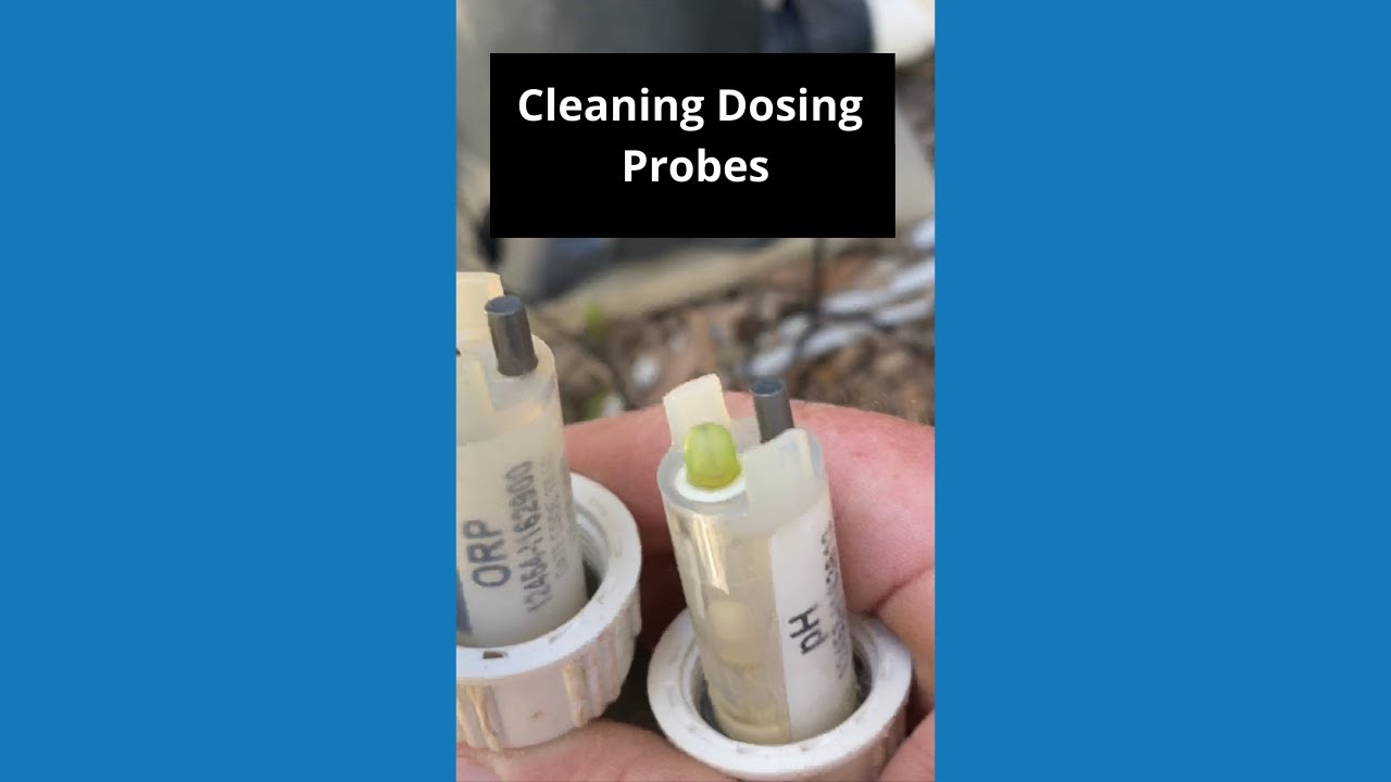 How to clean PH and ORP Probes poolmaintenance poolguy pool YouTube