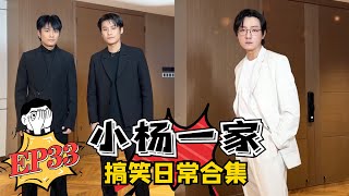 【小杨一家搞笑日常合集】老弟的绝望周末EP33 蓝光版💦 #疯狂小杨哥 #搞笑日常 #搞笑段子🤣