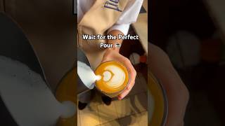 The Tulip Everyone Wants to Learn #Tulip #Learn #Latte