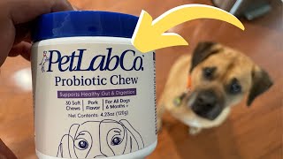 Boost Your Dogs Health with PetLab Co. Probiotics - A Comprehensive Review