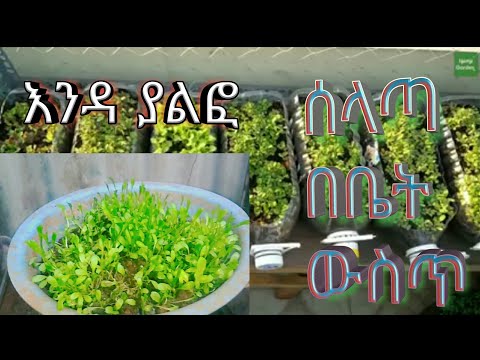 ቪዲዮ: በፕላስቲክ ካርድዎ ላይ ያለውን የኮድ ቃል ከረሱ ምን ማድረግ አለብዎት