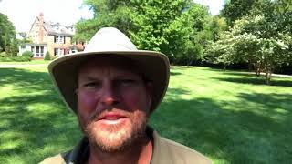 Estate Mowing