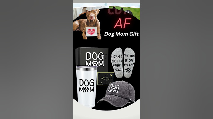 The Ultimate Dog Mom Gift Set 🎁 🐶#dogs #dogmom #dogshorts #shorts