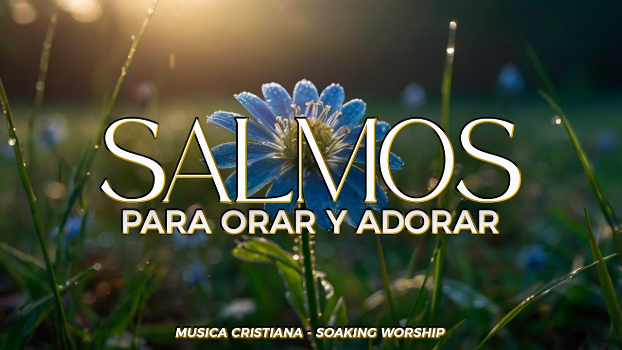 SALMOS CANTADOS del Rey David 🕊️ | Adoración que Trae Paz y Consuelo ...