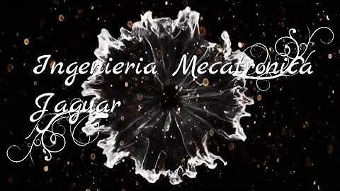 Convertir decimal fraccionario a binario