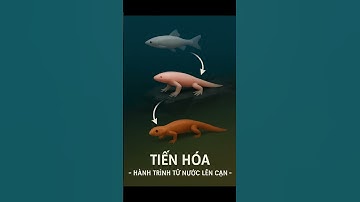 Loài cá biết đi bộ #kienthuchay #kienthucthuvi #kienthucboich