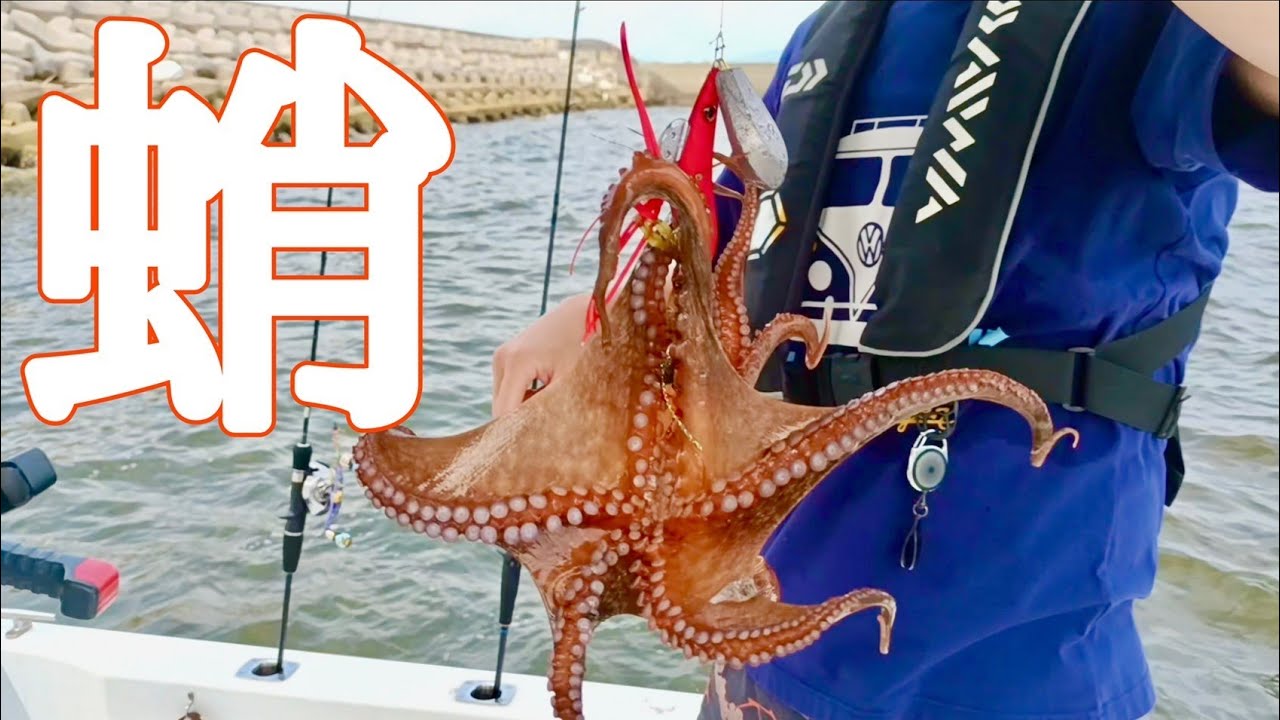 Catching Summer's Classic Octopus With The Latest Techniques - YouTube