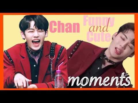 a.c.e-chan-funny-and-cute-moments