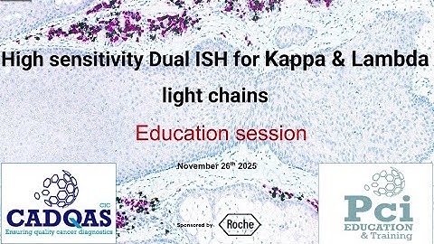 Education Session: Interpretation of Kappa Lambda Dual ISH 26NOV2025