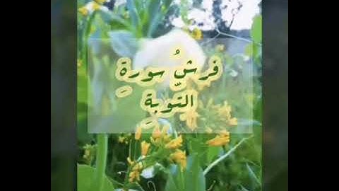 فرش سورة التوبة من طيبة النَّشر