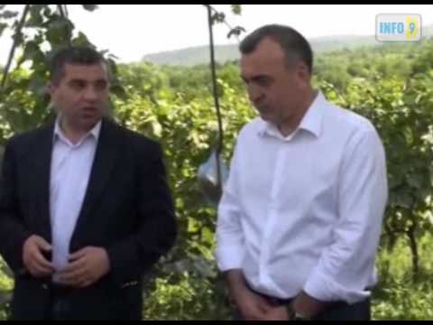 დავით ბაქრაძე ამბროლაურში