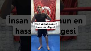 İnsan Vücudunun En Has 6 Bölgesi