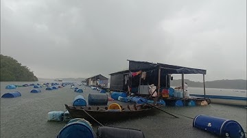 Câu cá, ăn uống, giải trí tại Nhà Bè Hàu đứa cháu.