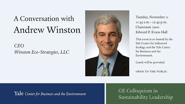 Andrew Winston, Winston Eco-Strategies