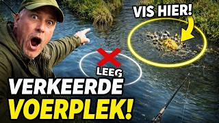 De waarheid over uw voerplek: Waarom u na één uur vijf meter verderop moet vissen!