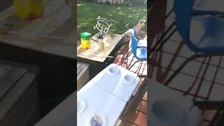 Random Lilipops Out Side Are House